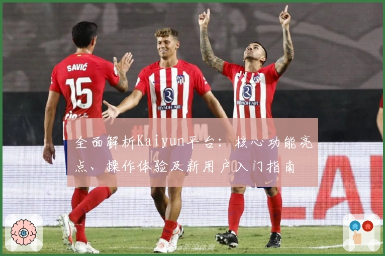 全面解析Kaiyun平台：核心功能亮点、操作体验及新用户入门指南