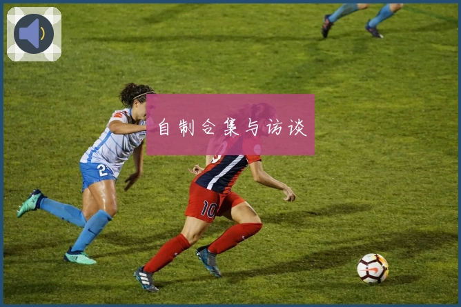 自制合集与访谈