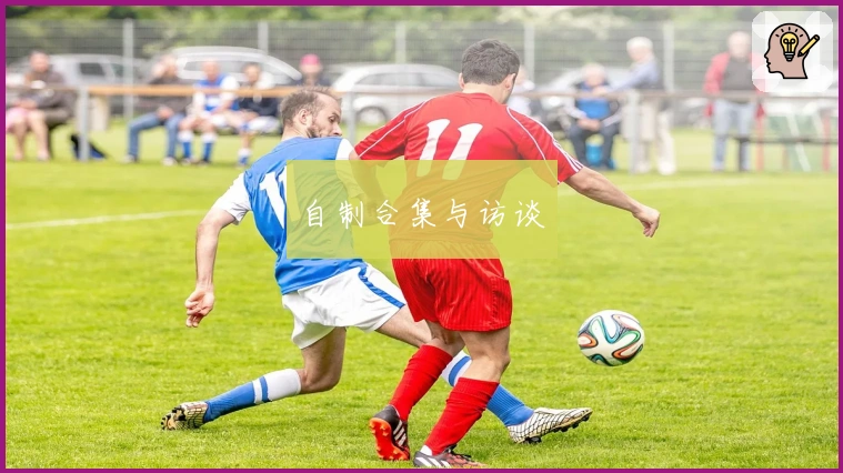 自制合集与访谈