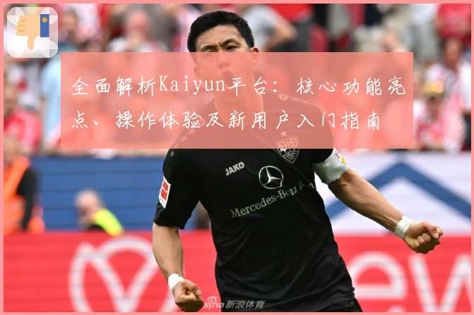 全面解析Kaiyun平台：核心功能亮点、操作体验及新用户入门指南